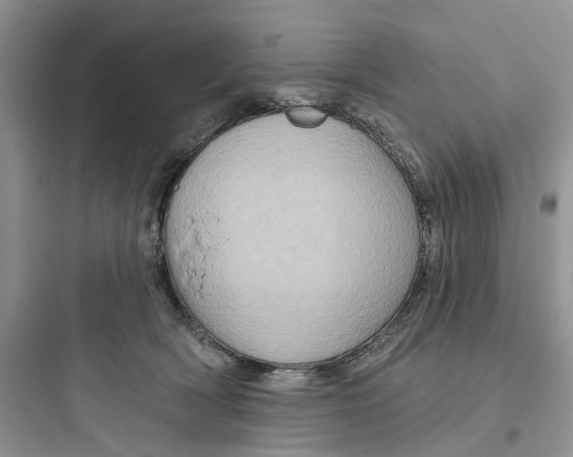 X0000097650418200803211900