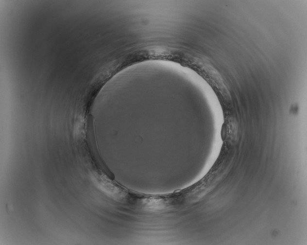 X0000097650419200803211900