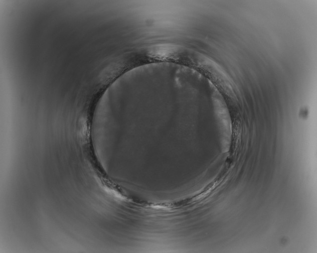 X0000097650420200803211900