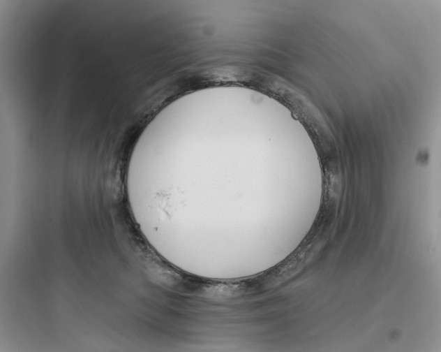 X0000097650422200803211900