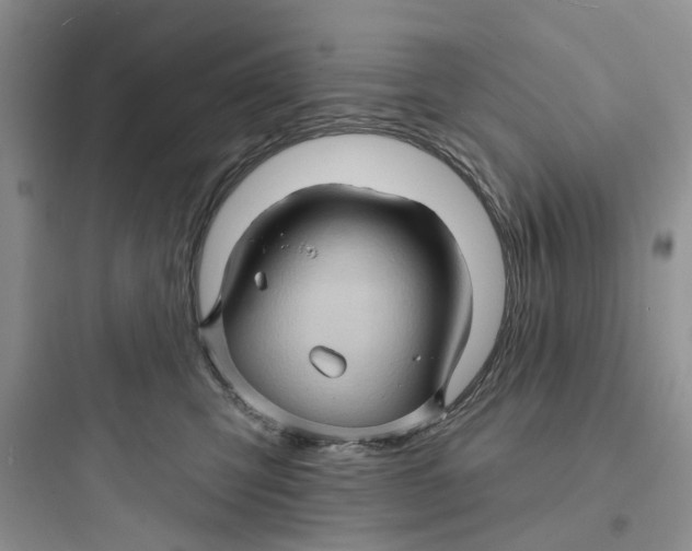 X0000097650423200803211900