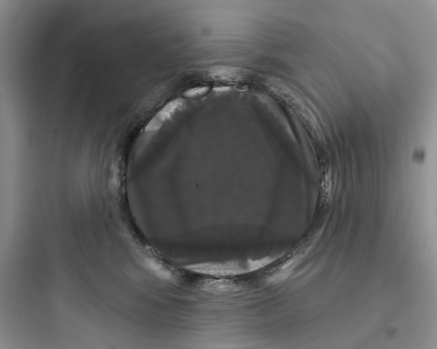 X0000097650424200803211900