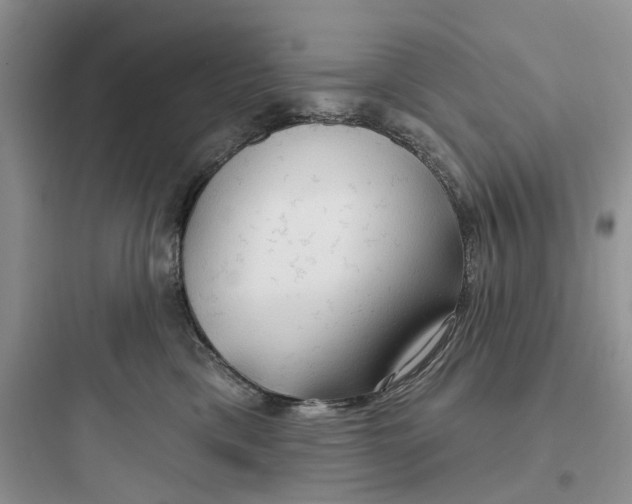 X0000097650425200803211900