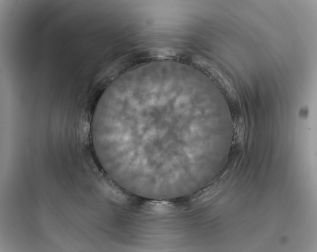 X0000097650427200803211900