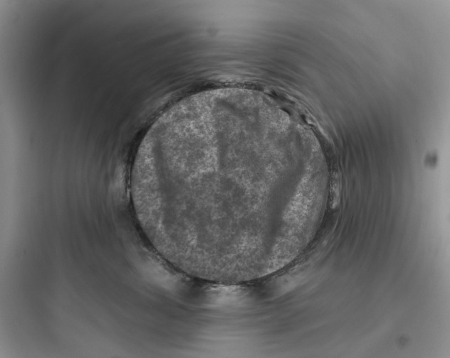 X0000097650428200803211900