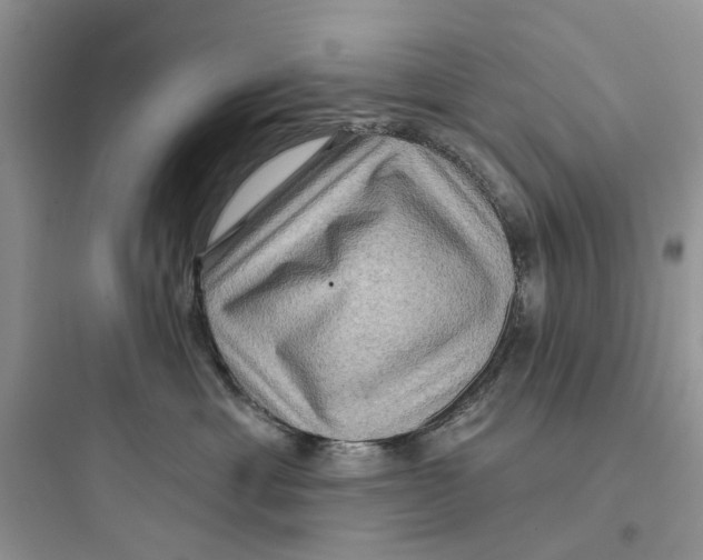 X0000097650429200803211900