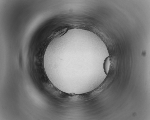 X0000097650430200803211900