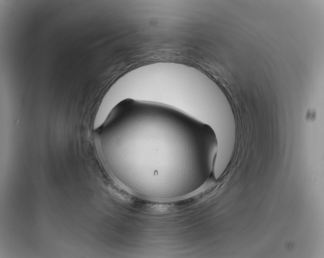 X0000097650432200803211900