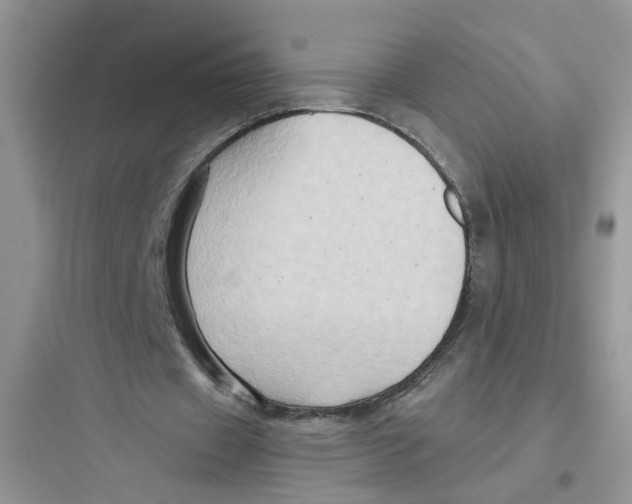 X0000097650433200803211859