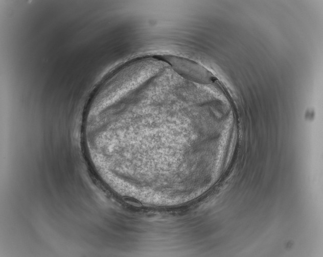 X0000097650434200803211859