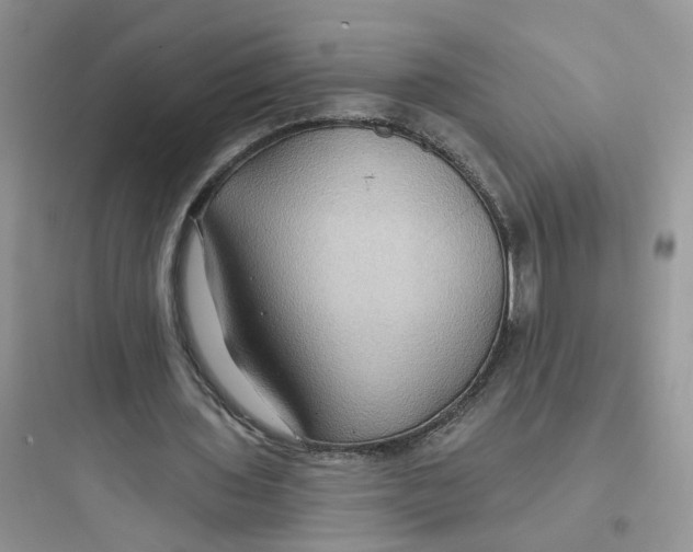 X0000097650435200803211859