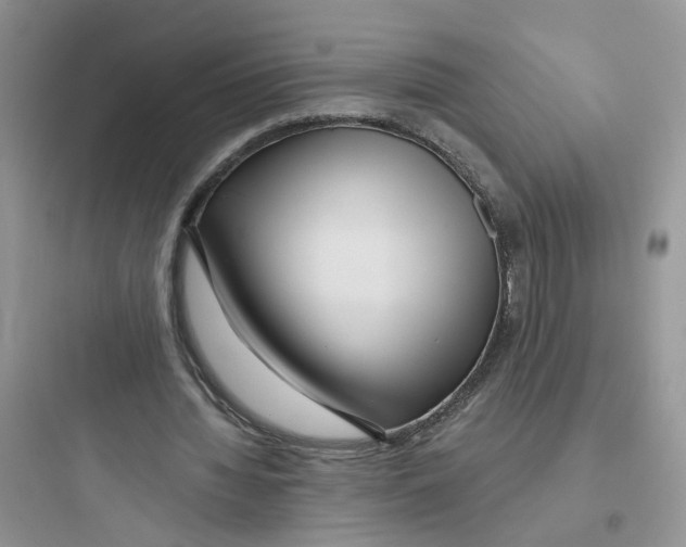 X0000097650436200803211859