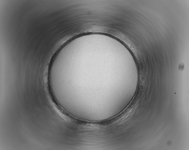 X0000097650437200803211859