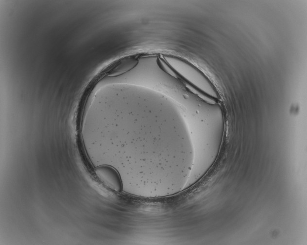 X0000097650438200803211859