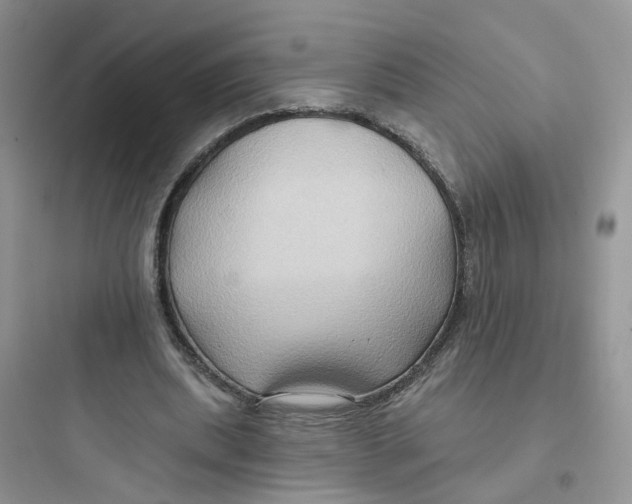 X0000097650439200803211859