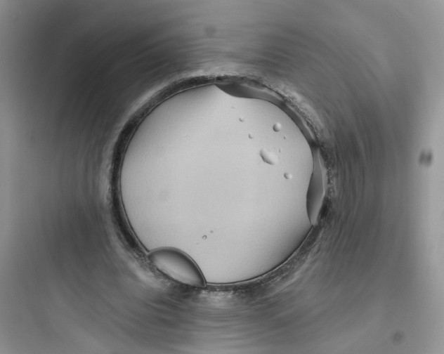 X0000097650440200803211859