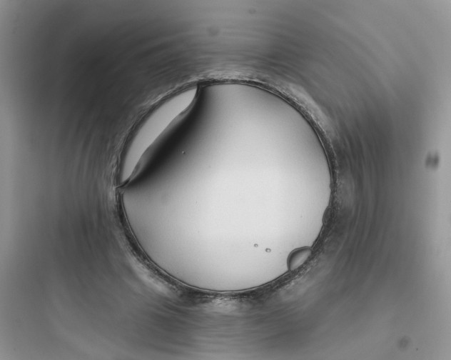 X0000097650441200803211859