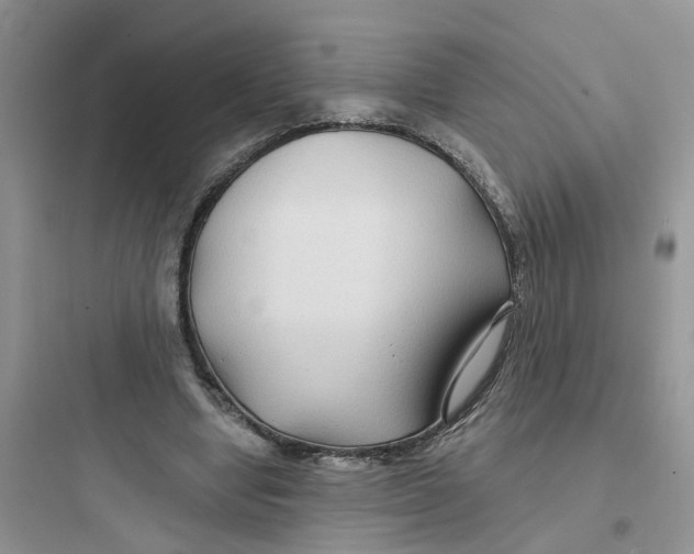 X0000097650442200803211859