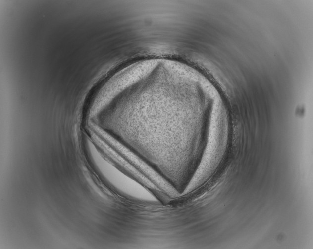 X0000097650443200803211859