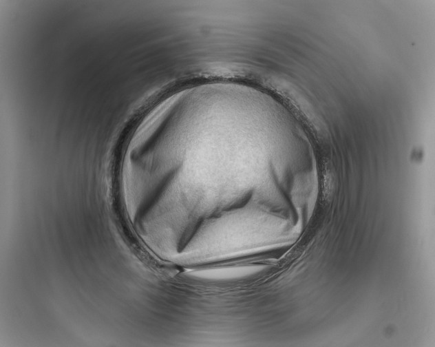 X0000097650444200803211859