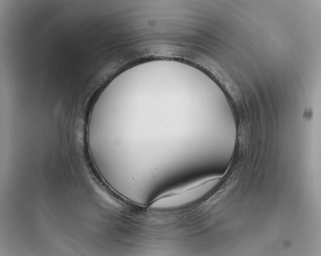 X0000097650445200803211859