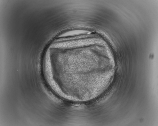 X0000097650447200803211859