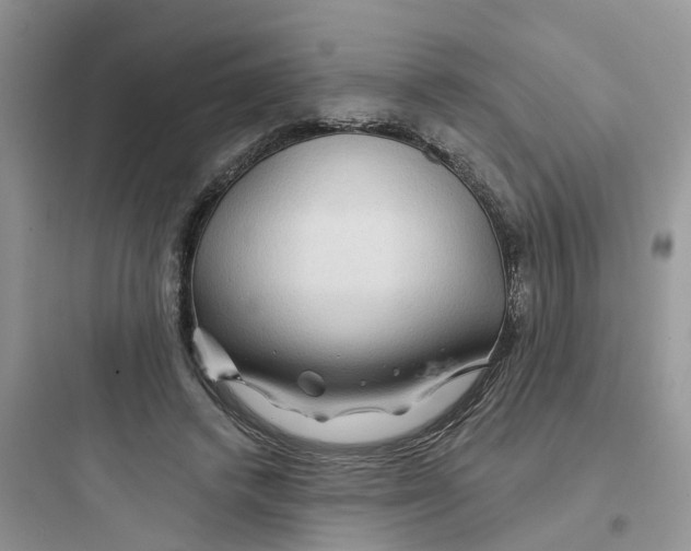 X0000097650448200803211859