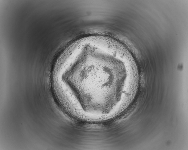 X0000097650449200803211859