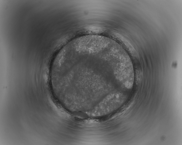 X0000097650451200803211859