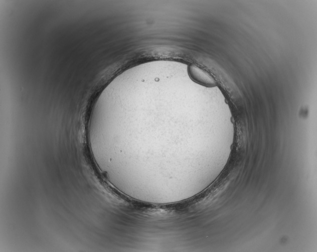 X0000097650453200803211859