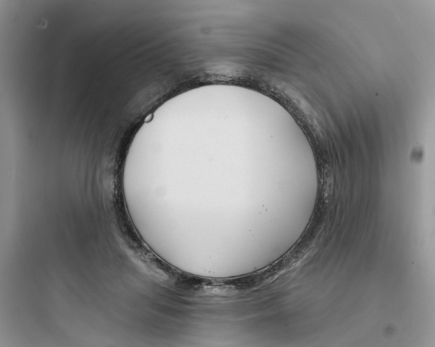 X0000097650455200803211859