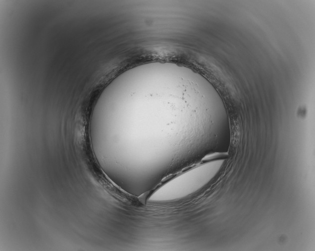 X0000097650456200803211859