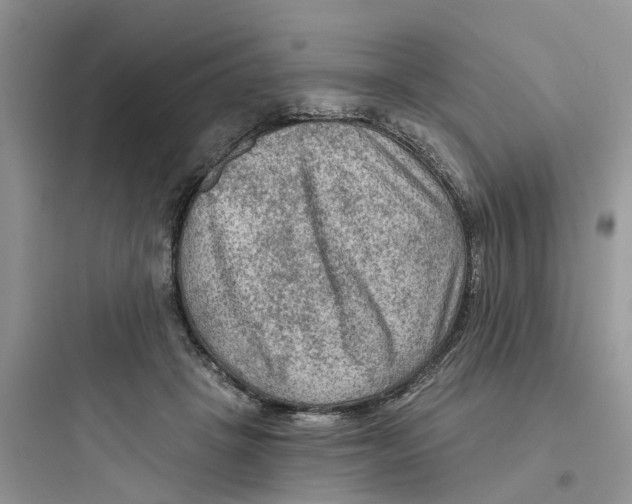 X0000097650457200803211859