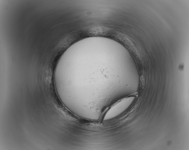 X0000097650458200803211859