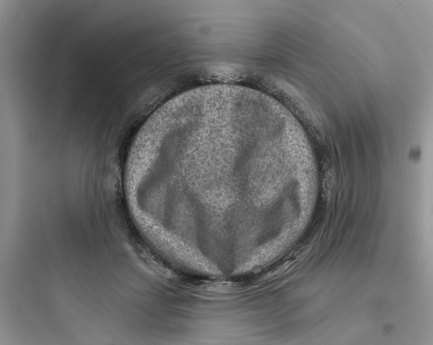 X0000097650459200803211859