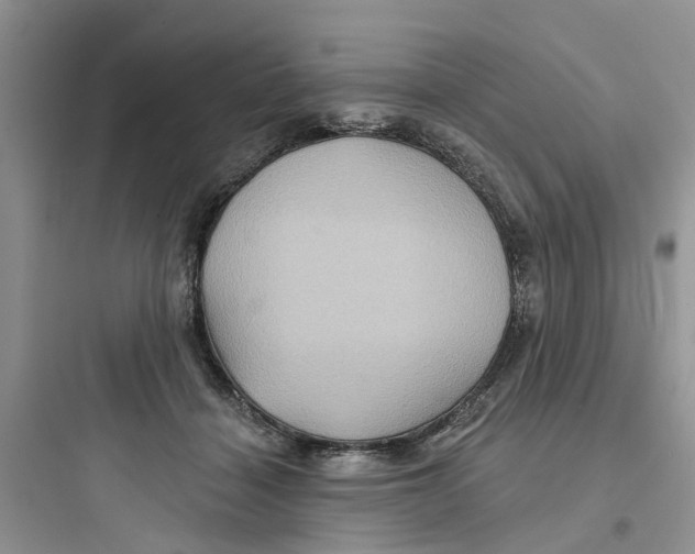 X0000097650460200803211859