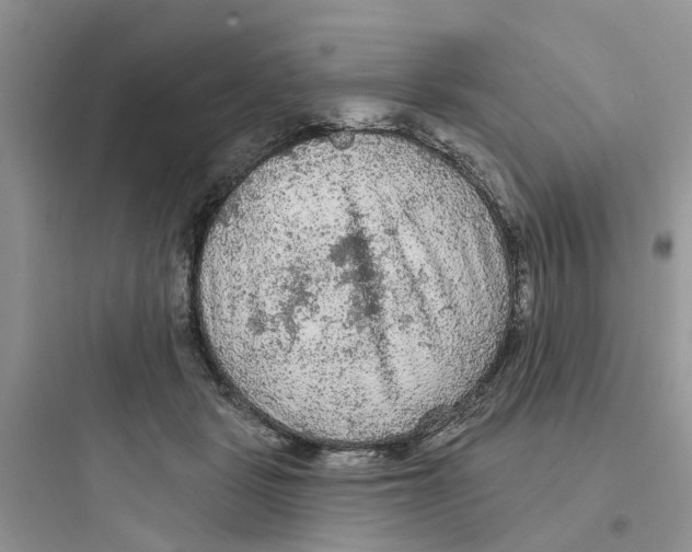 X0000097650461200803211859