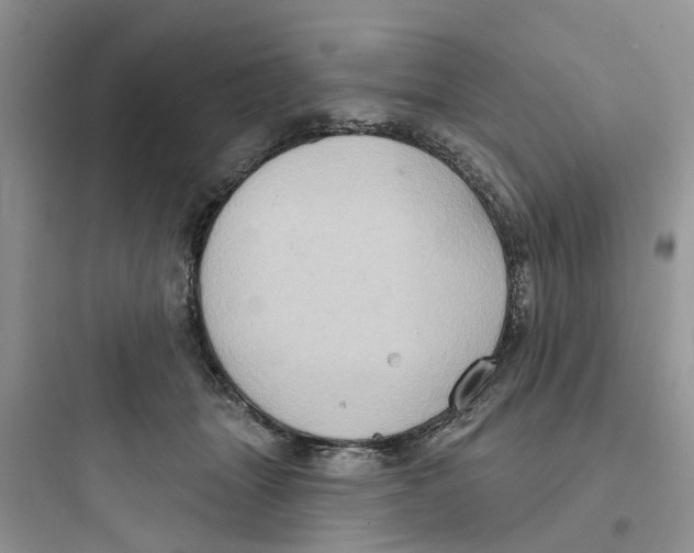 X0000097650463200803211859