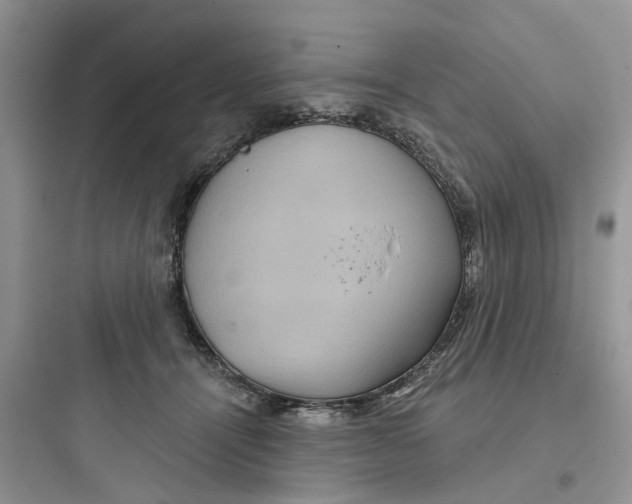 X0000097650464200803211859