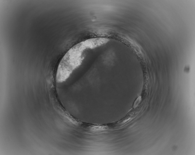 X0000097650465200803211900