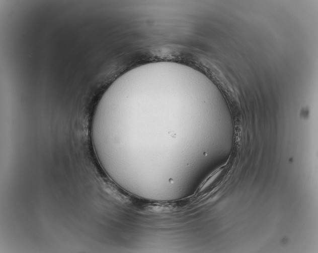 X0000097650466200803211900