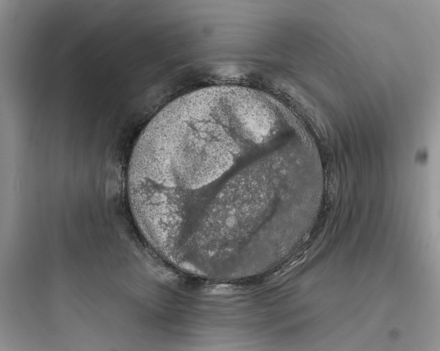 X0000097650467200803211900