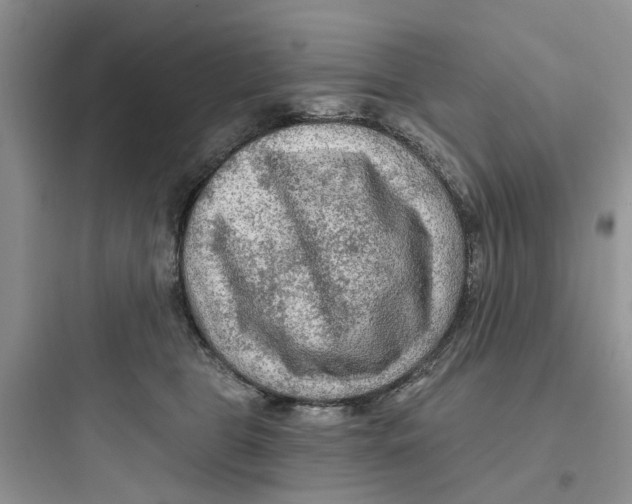 X0000097650469200803211900