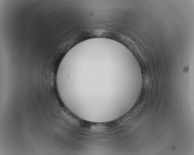 X0000097650470200803211900