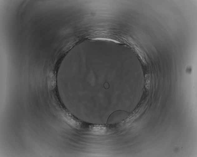 X0000097650471200803211900