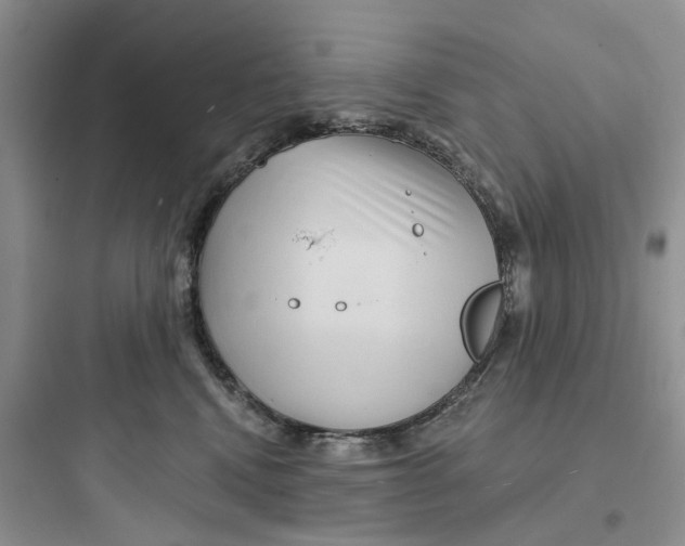 X0000097650472200803211900