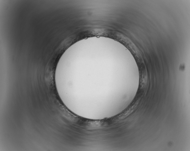 X0000097650473200803211900