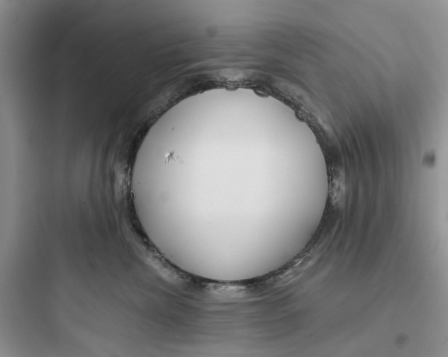 X0000097650476200803211900