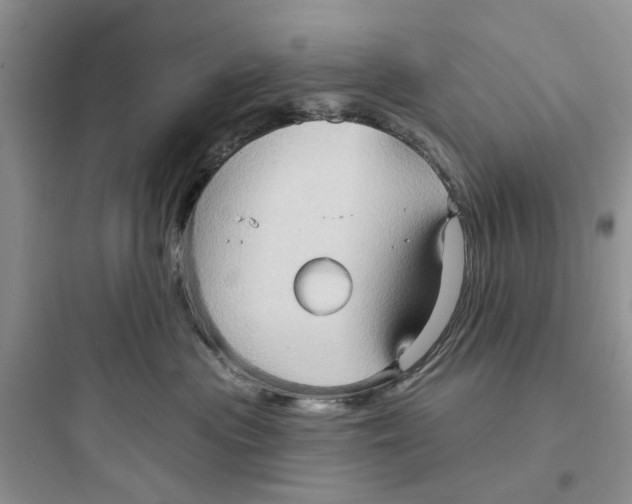 X0000097650477200803211900