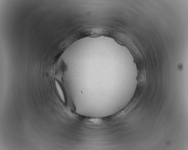 X0000097650478200803211900